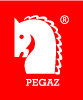 LOGO PEGAZ